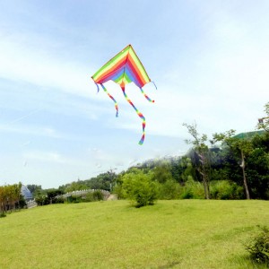 【Buy】Colorful kites
